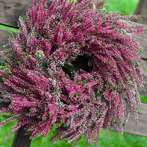 Pode incluir: Uma coroa circular construída a partir de densos cachos de flores de urze em tons de magenta vibrante e rosa escuro com pequenas folhas verdes. O arranjo floral está disposto numa forma de anel cheia e texturizada, exibindo os caules.