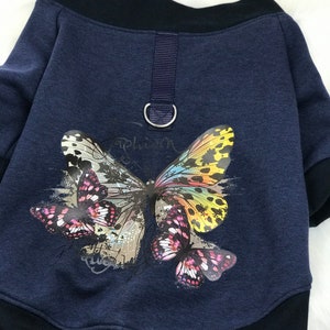 Beautiful dog sweater - hoodie / sweater for dogs with French Terry appliqué