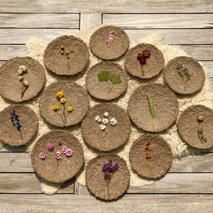 Piatti di cartapesta con fiori secchi. Set di 3 pezzi