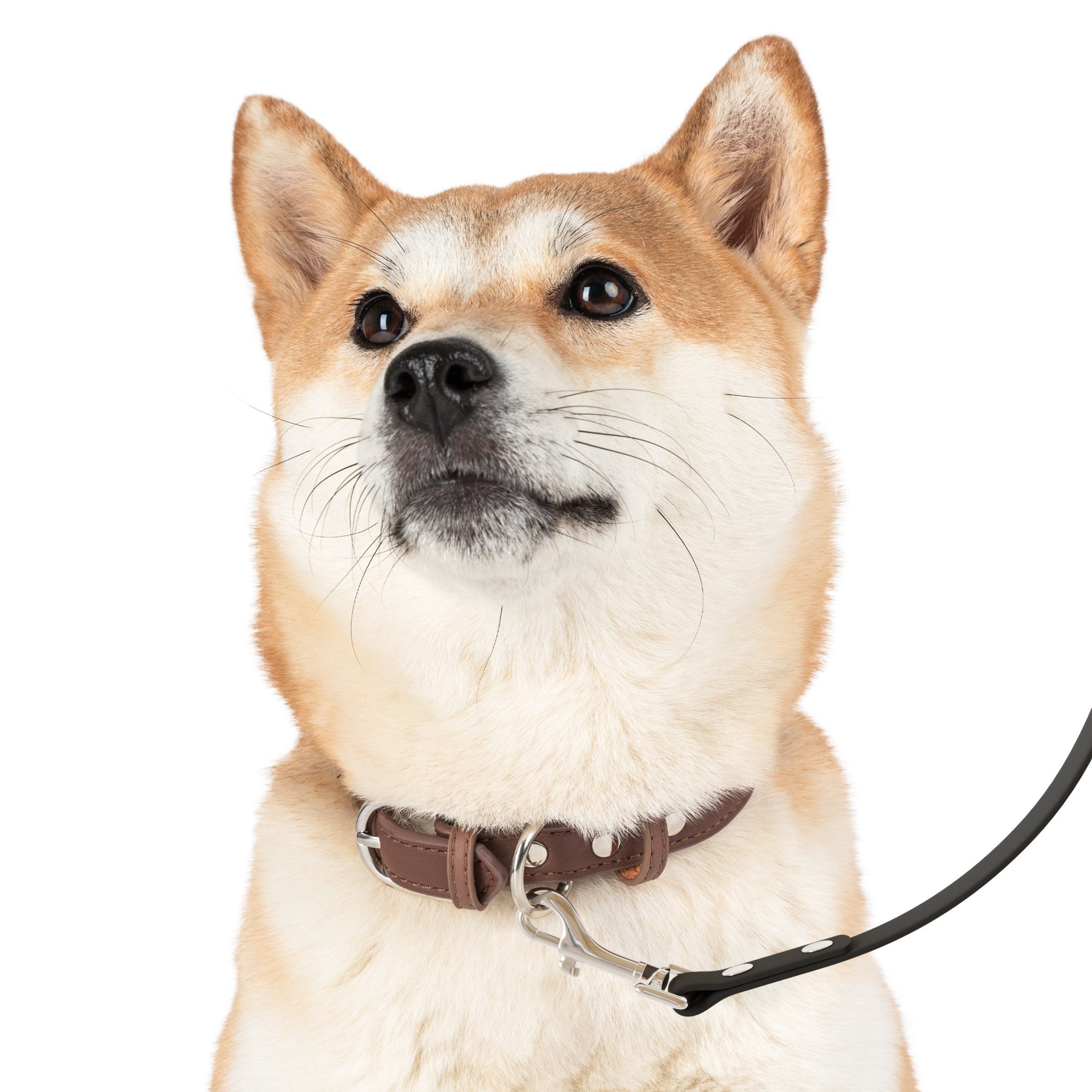 The Unbeleafable Dog Leash | Fall & Autumn Inspired Dog Leash Small