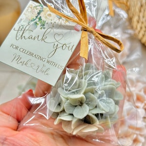 May include: A small, white and green floral arrangement in a clear plastic bag tied with a brown ribbon. A thank you tag with the text "Thank you for celebrating with us Mark & Viola" is attached to the bag.
