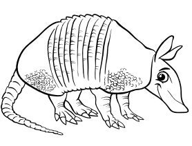50 animal coloring pages with practice drawing sheets etsy