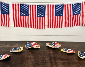 American flag Oyster shells