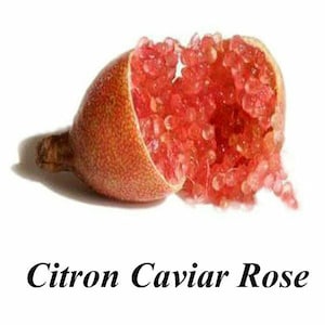 Le Citron caviar perles jaune, rose ou orange