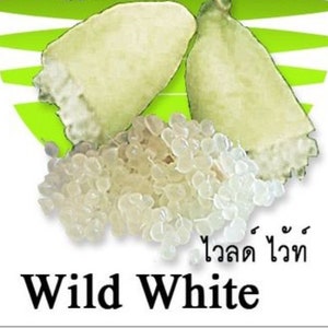 May include: Two white, pear-shaped fruits with a pile of small, white, translucent seeds in the foreground. The text "Wild White" is written below the seeds, and the Thai text "ขาวด่าง" is written above the seeds.