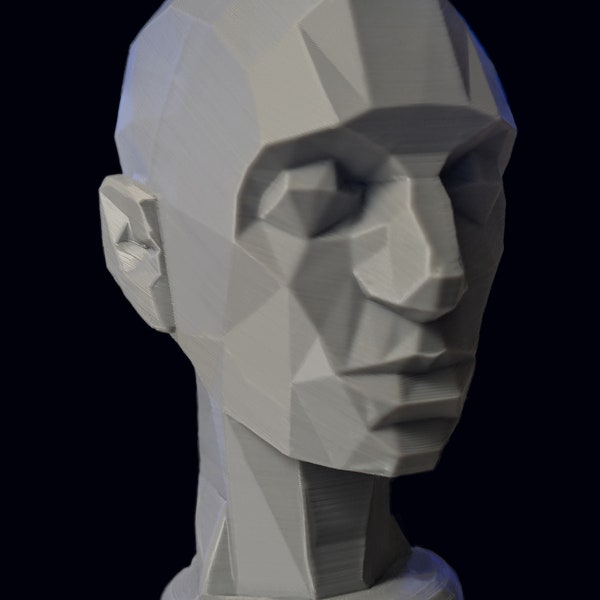 3D Printed POSEABLE Asaro Head Low Poly Human Head Cast Model For Artist Study