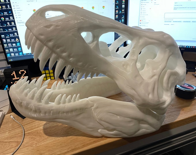Large T-rex Skull 3D Printed 18in Wide - Etsy