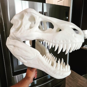 Pode incluir: Uma réplica de crânio de Tyrannosaurus rex branca com uma estrutura óssea detalhada, dentes afiados e grandes órbitas oculares. O crânio está montado numa haste de suporte vertical preta, exibindo a mandíbula aberta e a textura do fóssil.