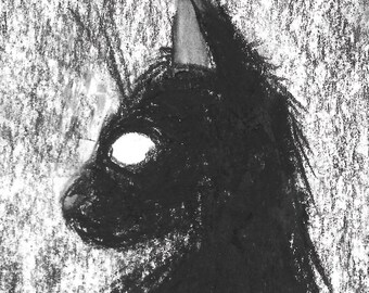 Gato preto