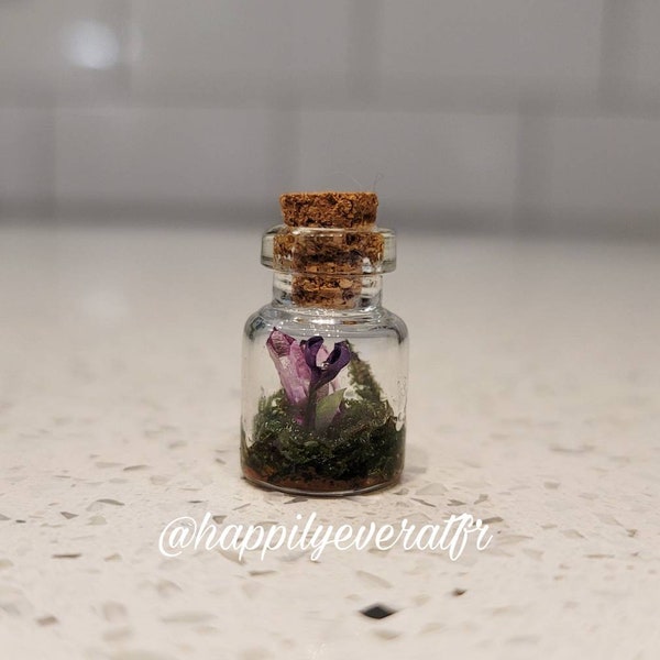 Miniature Crystal & Flower, Fairy Terrarium Bottle