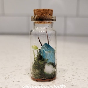 Miniature Crystal & Mushroom, Fairy Terrarium Bottle