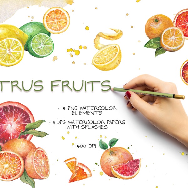 Citrus Fruits Clipart and Watercolor Backgrounds, Digital Paper with Splashes, Lemon, Oranges, Grapefruit Clip Art, Hand Painted Fruit Art