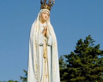 Our Lady of Fatima DVD