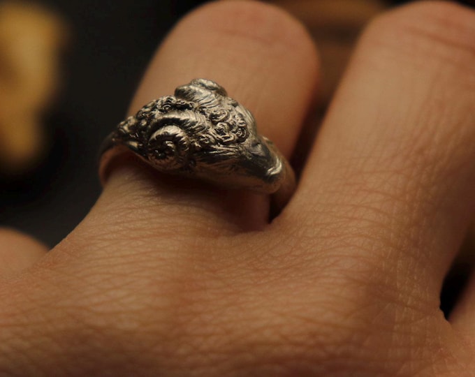 Adjustable Persian Aries Ring - Anello Ariete Persiano