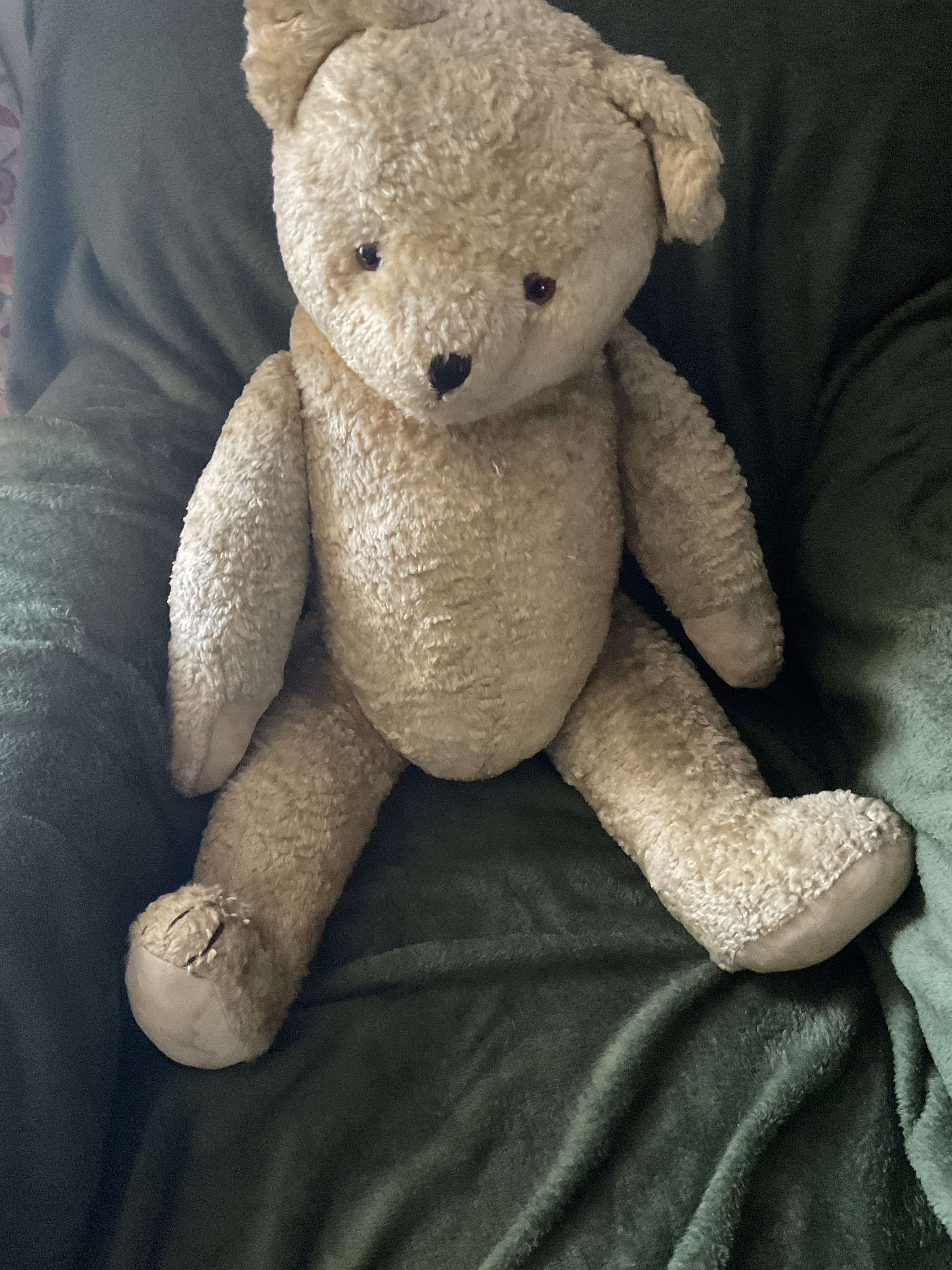 jointed teddy bear