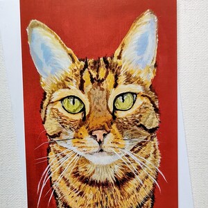 Retrato de gato atigrado ilustraciones originales