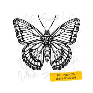 Moth Svg, Insect Svg, Moth Clipart, Moth Png, Moth Silhouette Svg, Moth Shirt Svg, Nature Svg, Witchy Svg, Moth Drawing, Svg File for Cricut
