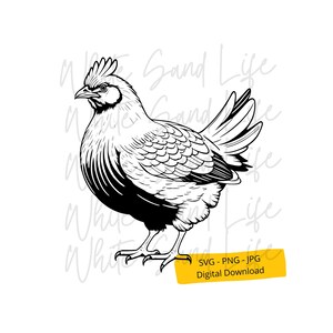 Chicken Svg, Hen Svg, Chicken Svg for Shirts, Chicken Svg for Kids, Chicken Ornaments Svg, Crazy Chicken Lady Shirt, Chicken Svg for Cricut