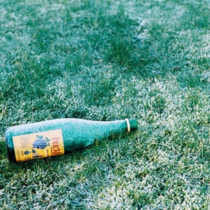 Chilled Wine | Photography Print | Green Bottle | Glasgow UK Wall Décor Print Gift | StreetPhotography