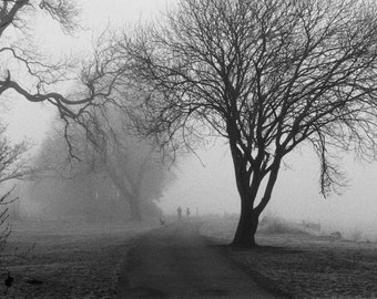 Morning Fog | Photography Print | Nature | Fog | Glasgow UK Wall Décor Print Gift | NaturePhotography