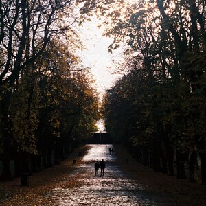 Father and Son | Photography Print | Nature | Family | Glasgow UK Wall Décor Print Gift | StreetPhotography