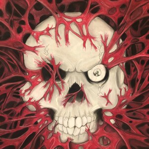 May include: A white skull with a single eye socket, partially obscured by a red, web-like pattern. The skull has a cracked appearance and a visible jaw with teeth.