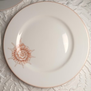 Coquille by Fitz and Floyd,  6 1/2&quot; Bread & Butter plate, Set of 5