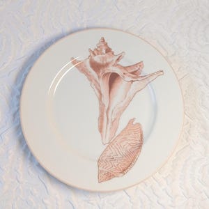 Coquille by Fitz and Floyd,  7 5/8&quot; Salad plate, Set of 5