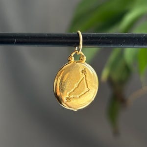 Może przedstawiać: Złoty, okrągły wisiorek ze znakiem zodiaku, zawieszony na czarnym pręcie. Wisiorek ma teksturowaną powierzchnię i małą pętlę u g&oacute;ry. Tło jest rozmyte, z widocznymi zielonymi liśćmi.