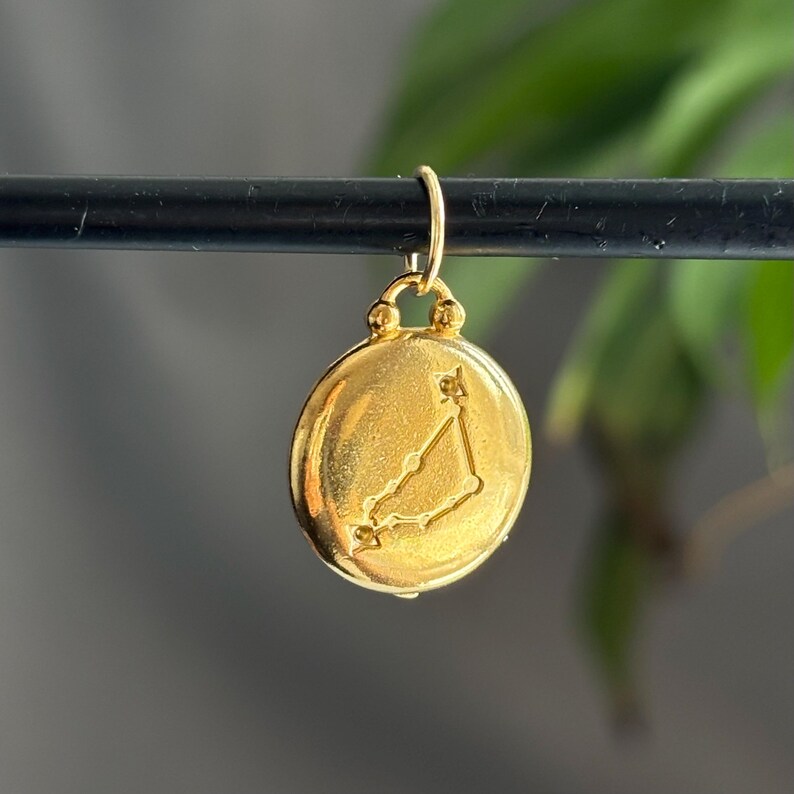 Może przedstawiać: Złoty, okrągły wisiorek ze znakiem zodiaku, zawieszony na czarnym pręcie. Wisiorek ma teksturowaną powierzchnię i małą pętlę u g&oacute;ry. Tło jest rozmyte, z widocznymi zielonymi liśćmi.