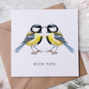 Lustige Erwachsenen Humor Karte, Jubiläum Geburtstag Grußkarte, Karte für Partner, Frau, Freundin, Blaumeise, Humor, irische Karte, valentine