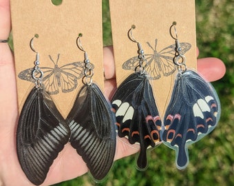 Real Butterfly Wing Earrings// Papilio helenus// Jewelry// Nature// Gift