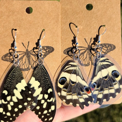 Real Butterfly Wing Earrings Etsy