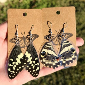 Jewelry made from butterfly wings 2025