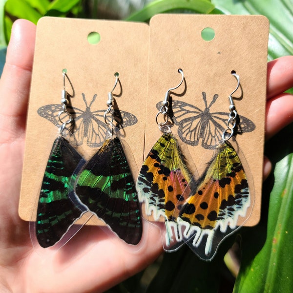 Real Butterfly Wing Earrings// Sunset moth jewelry// Laminated// Gift