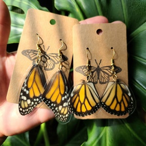 Real Laminated Butterfly Wing Earrings// Monarch butterfly jewelry// Nature// Gift