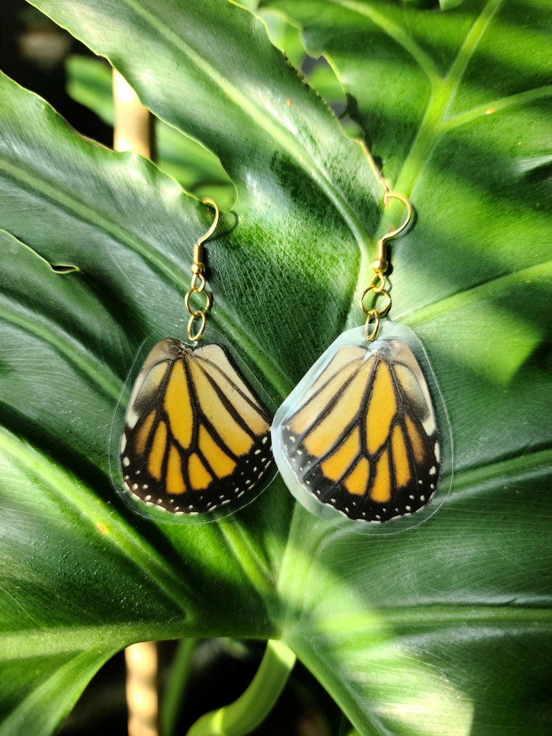 Real Laminated Butterfly Wing Earrings// Monarch Butterfly Etsy
