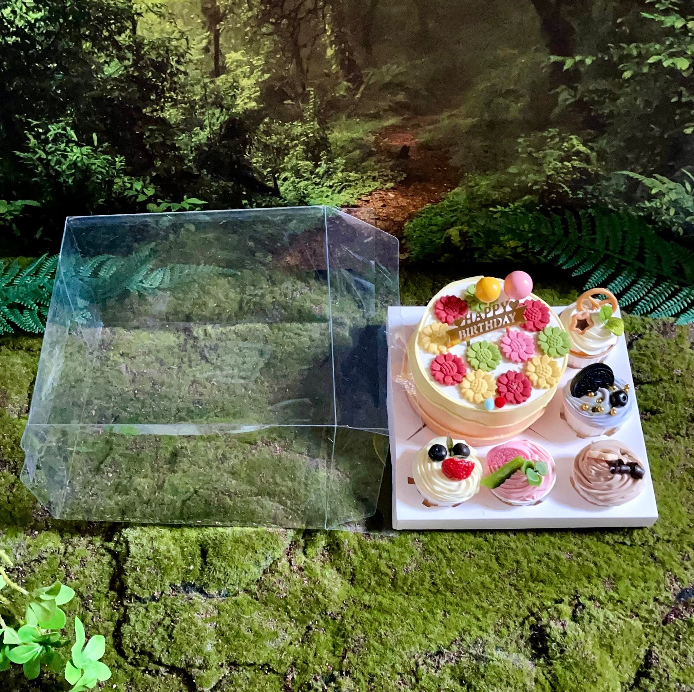 JCD 8-Pack Valentine's Day Bento Cake & Cupcake Box Combo - Clear Window, Holds 1 Cake & 5 Cupcakes - View #2