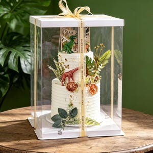 May include: A two-tiered white frosted cake inside a clear square display box with a gold ribbon. The cake is decorated with a green dinosaur figurine, a red giraffe figurine, dried orange slices, and green foliage accents on the sides.