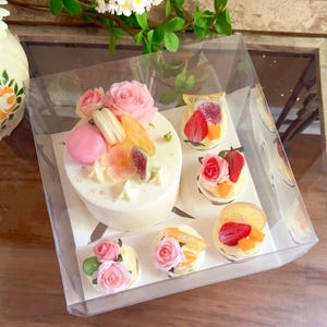 5 Sets Clear Bento Boxes,Transparent Cake and Cupcakes Boxes,Hold 1 Cake and 5 Cupcakes,For Birthday,Valentines Day,Mother’s Day,Holidays