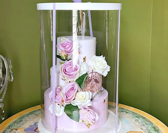 Cajas transparentes altas para pastel: 20 juegos de cajas redondas de exhibición (30 cm de profundidad x 45 cm de alto)