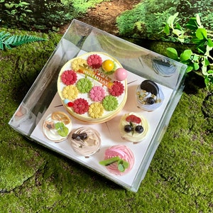10 Sets Clear Bento Boxes,Transparent Cake and Cupcakes Boxes,Hold 1 Cake and 5 Cupcakes,For Birthday,Valentines Day,Mother’s Day,Holidays