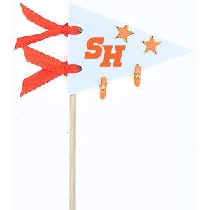 Juego de pendientes con banderines: Sam Houston State