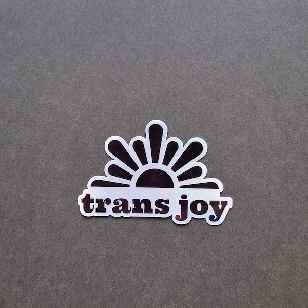 Trans Joy Sticker- 25% of proceeds go to The Trevor Project Queer LGBTQ Water Proof Bottle Holographic Transgender Simple Laptop Sun Matters