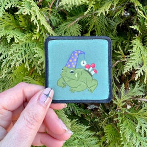 May include: A green toad wearing a purple and yellow wizard hat with a star on top. The toad has three white mushrooms growing out of its back. The toad is on a teal background with a black border.
