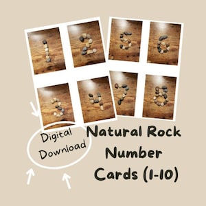 Cartões de atividades com números da natureza/criança, pré-escola, jardim de infância/ensino doméstico inspirado em Reggio-Montessori/tema da natureza 1-10/material aberto