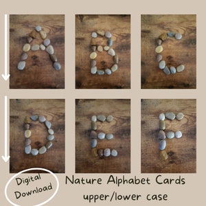 Natuur Alfabet Activiteitenkaarten/Peuter, Kleuterschool, Kleuterschool /Reggio-Montessori Geïnspireerd Homeschool/A-Z Bird Rock thema/open einde