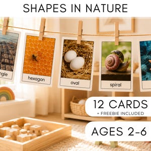 May include: A set of educational cards titled SHAPES IN NATURE hanging on a string with wooden clips. The cards display images of a honeycomb with the text hexagon, white eggs in a nest with the text oval, and a snail with the text spiral. The set includes 12 cards for ages 2-6.