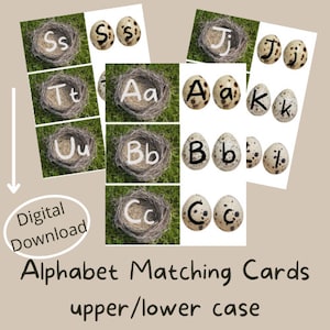 Cartes d'activité assorties de l'alphabet de la nature/enfant en bas âge, préscolaire, maternelle /Reggio-Montessori inspiré de l'école à la maison/A-Z thème nid d'oeuf d'oiseau