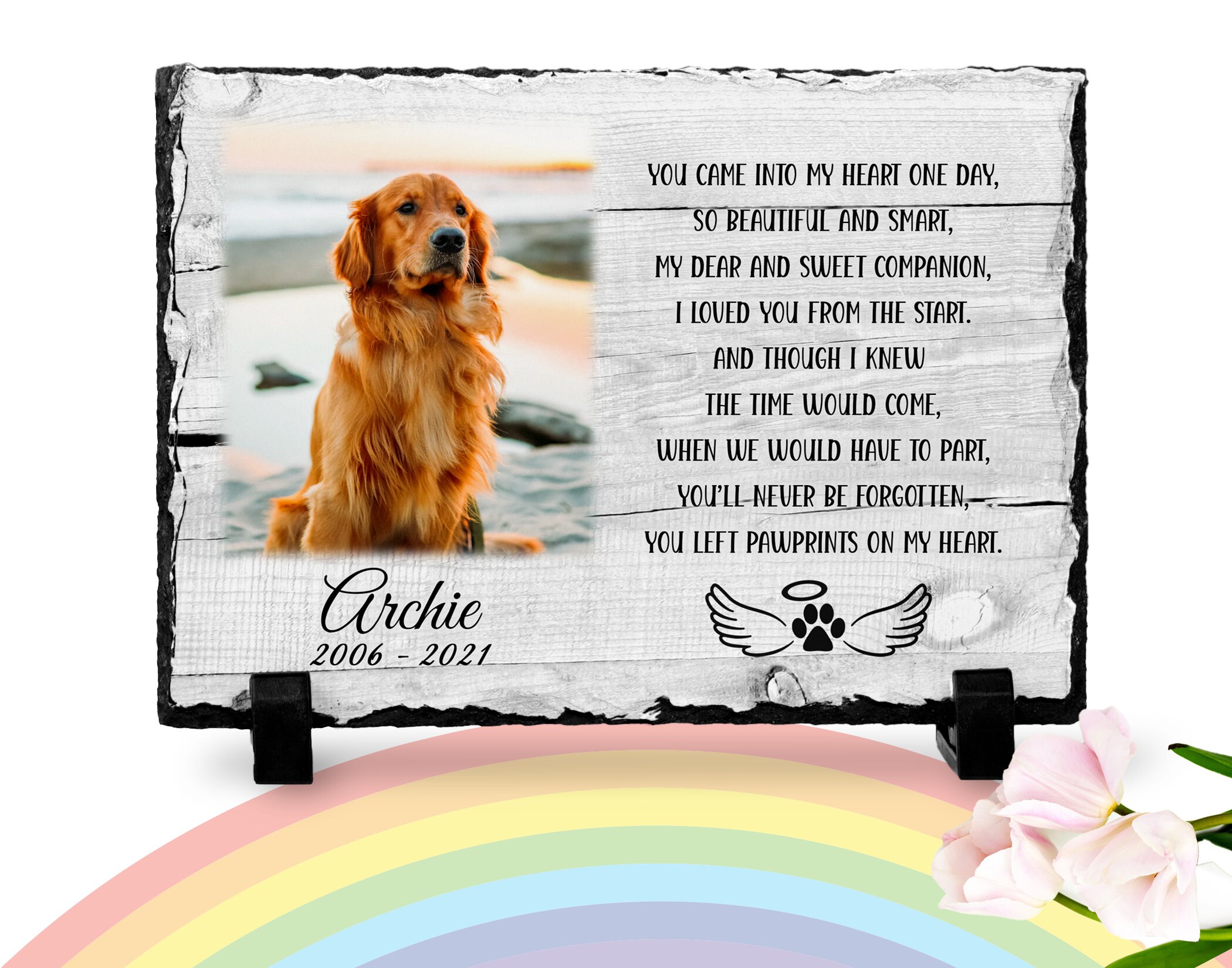 Where Do Dogs Go When They Die Rainbow Bridge